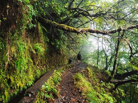 Queimadas Levada Walk