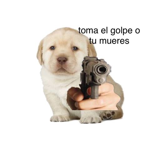 Queries Meme Template Png