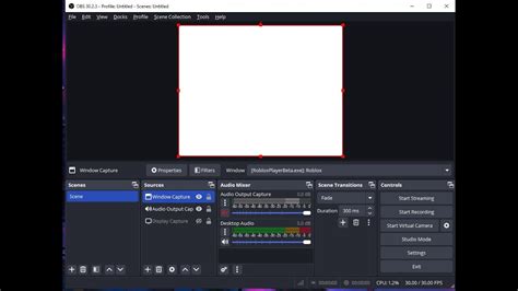 Question / Help - White Screen When Recording Roblox On 
