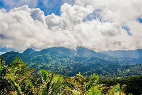 Questions About Cloud Forests