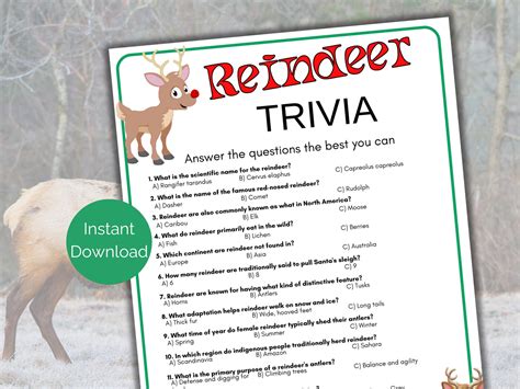 Questions For Reindeer Farm