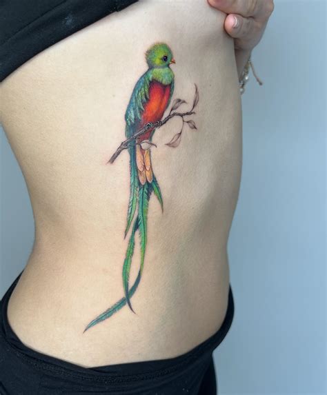 Quetzal Bird Tattoo