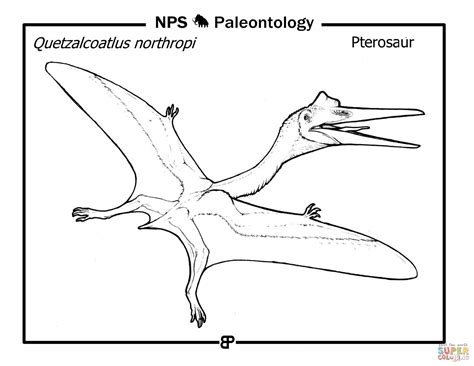 Quetzalcoatlus Coloring Page