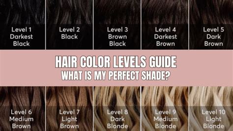 Quick Reference Guide: Hair Dye Shade Families