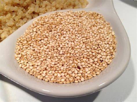 Quinoa makanan