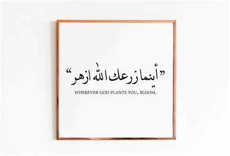 Quote In Arabic