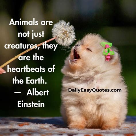 Quotes About Animals