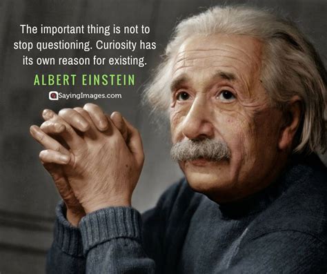 Quotes About Curiosity