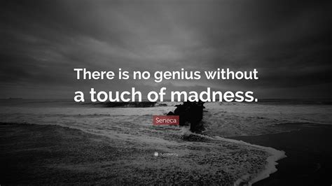 Quotes About Madness