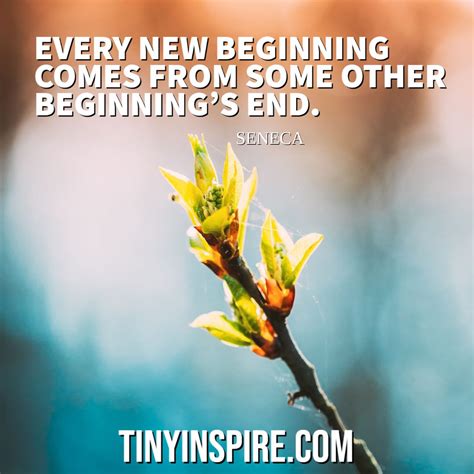 Quotes About New Beginning