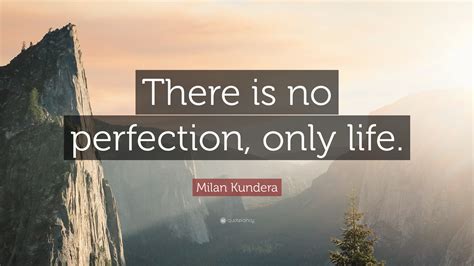 Quotes About Perfection