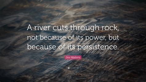 Quotes About Persistence