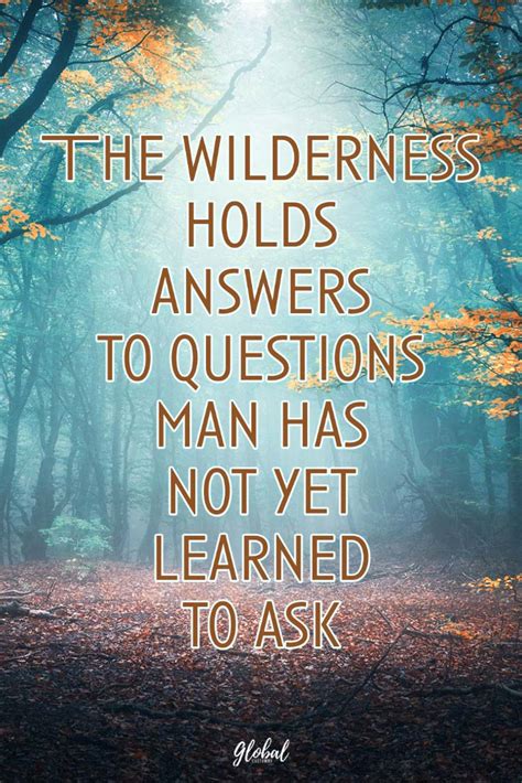 Quotes About Wild
