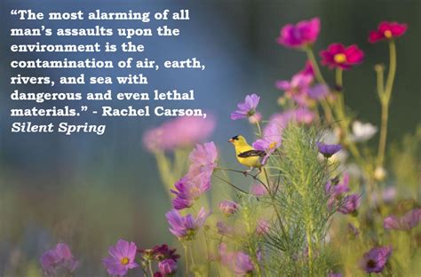 Quotes From Silent Spring