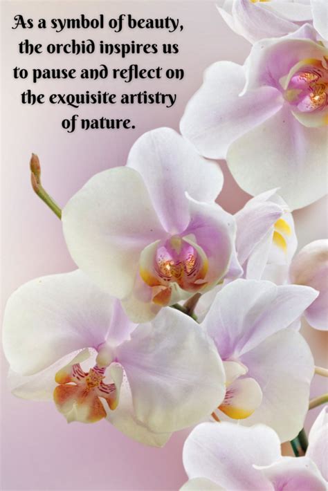 Quotes On Orchids