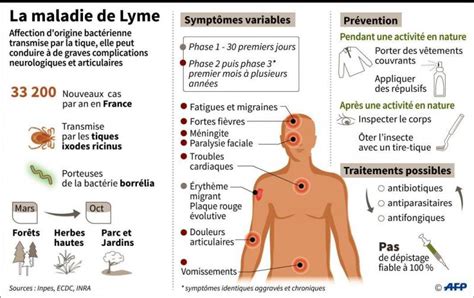 Maladie de Lyme un "plan national" pour améliorer la prise en charge
