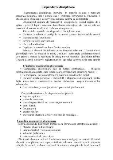 Răspunderea proiectantului