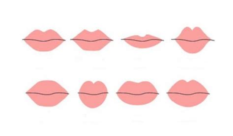 R Eacute F   orme Des Levres