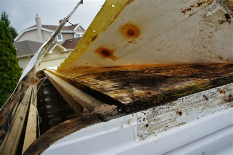 RV Roof Damage