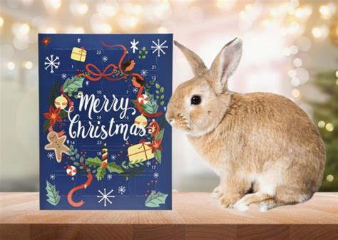 Rabbit Advent Calendar