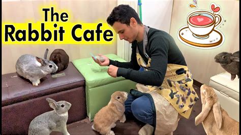 Rabbit Cafe Tokyo