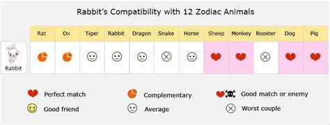 Rabbit Love Compatibility