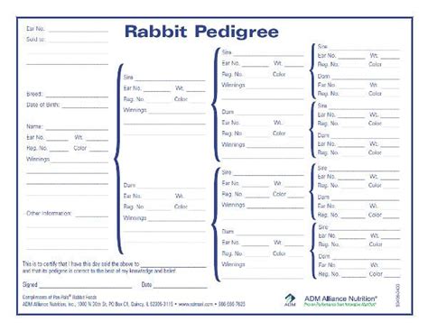 Rabbit Pedigree Template