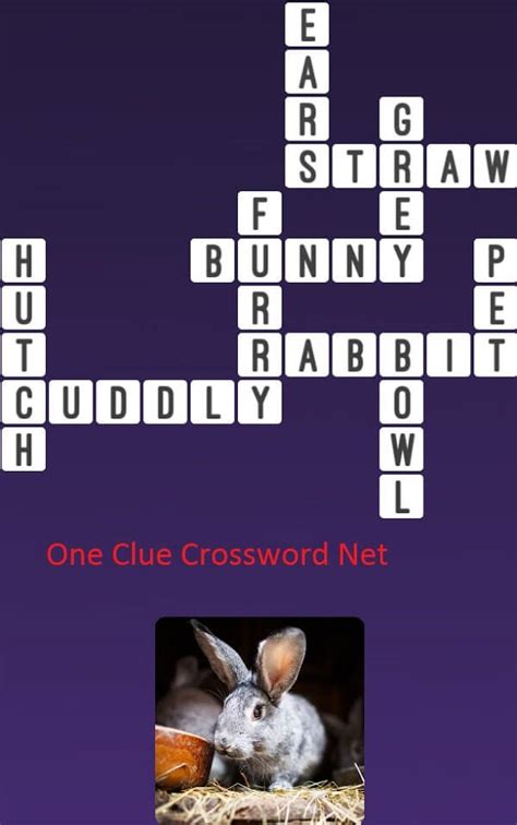 Unraveling the Mystery: Finding the Solution to Rabbit-Like Animal Crossword Clue