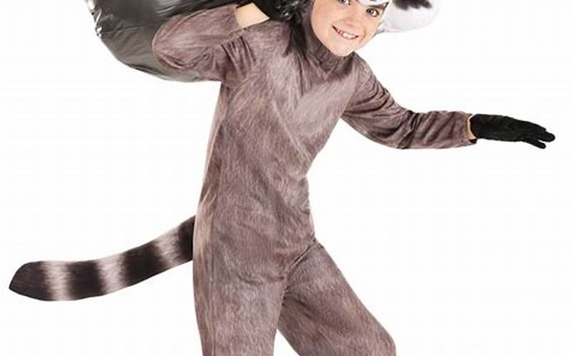 Raccoon Costume