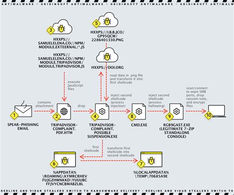 Racoon, Vidar, RedLine