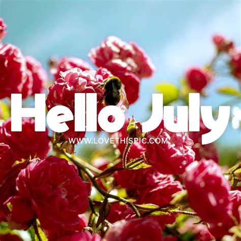 Radiant Roses of July