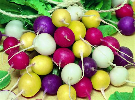 Radish Easter Egg