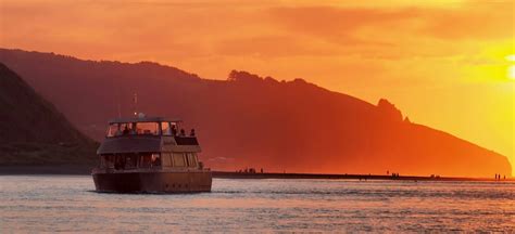 Raglan Boat Tour Options