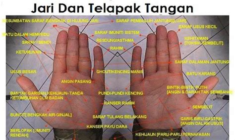 Rahsia Tangan: Tip Mudah Untuk Memelihara Kesihatan dan Kecantikan Tangan Anda!