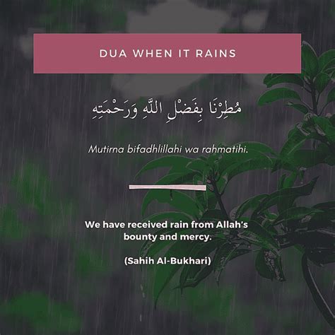 Rain Islamic Quotes