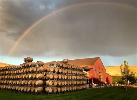 Cheers to Sparkling Wines: Rainbow Winery's Vibrant Delights