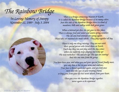 Rainbow Bridge Pet Poem Printable