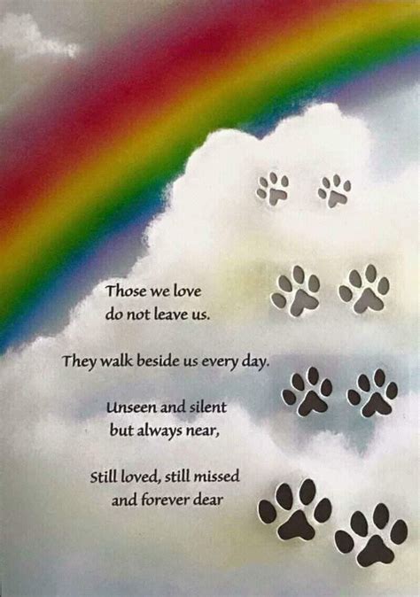 Crossing Over the Rainbow: Heartwarming Quotes for Dogs at Rainbow Bridge
