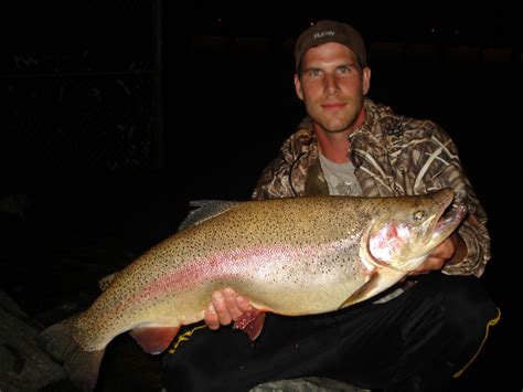 Reelin' in the Rainbow: Unraveling the World Record for Largest Trout!