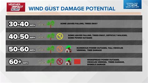 Rainfall and Wind Expectations