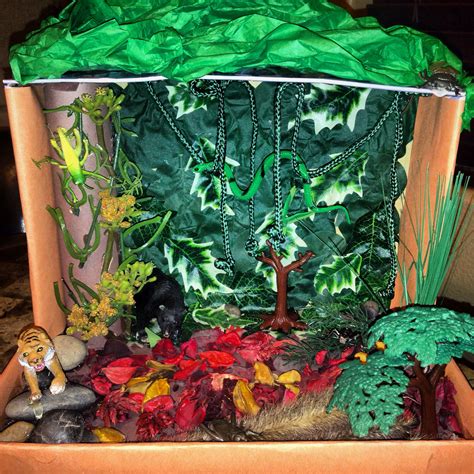 Rainforest diorama Diorama, Rainforest, Crafts