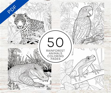 Rainforest Animal Coloring Pages