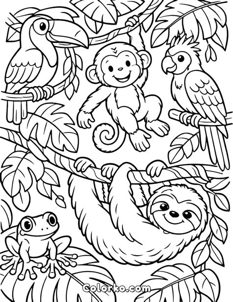 Rainforest Animals Coloring Page