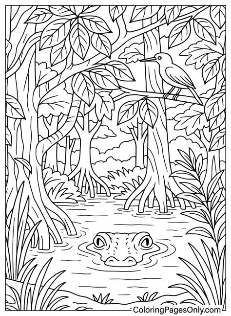 Rainforest Color Sheet