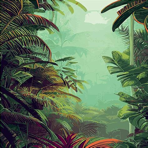 Rainforest Images To Print