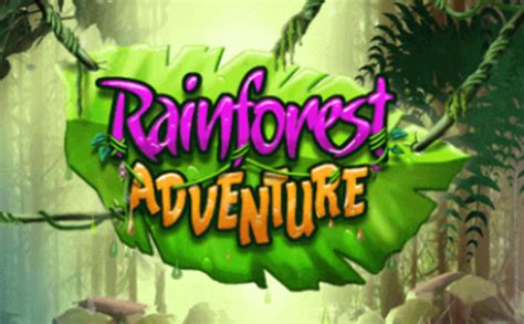 Rainforest Jeux