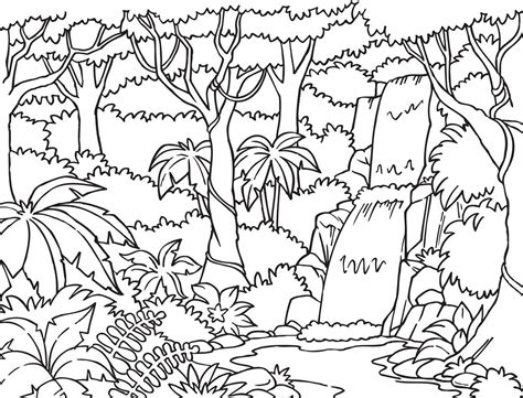 Rainforest Printable Coloring Pages
