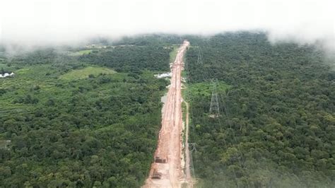 Rainforest Road Conditions
