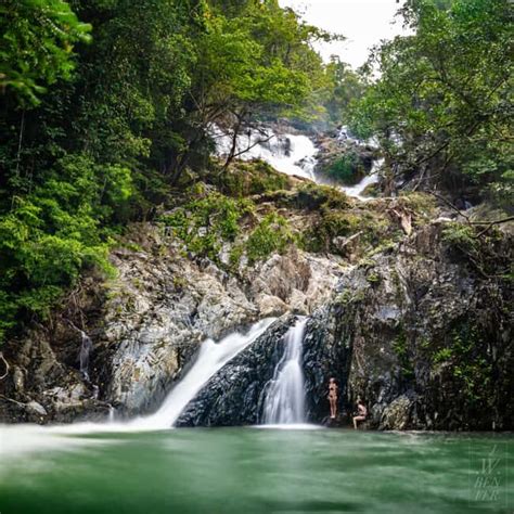 Rainforest Waterfall Walk
