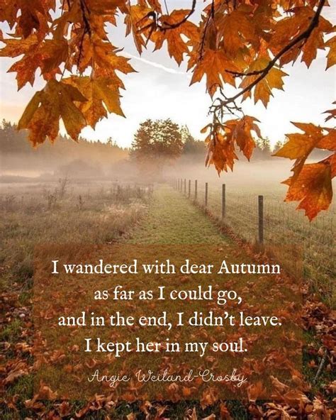 Rainy Autumn Quotes